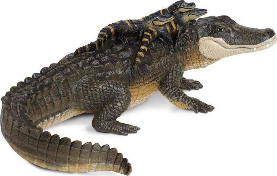 Alligator with Babies Toy