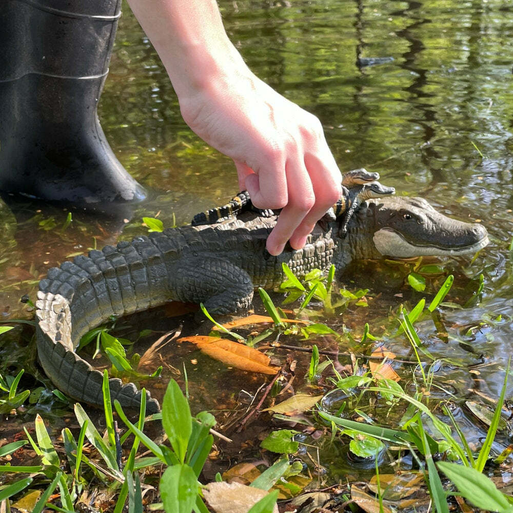 Alligator with Babies Toy