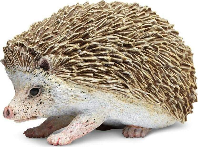 Hedgehog Toy