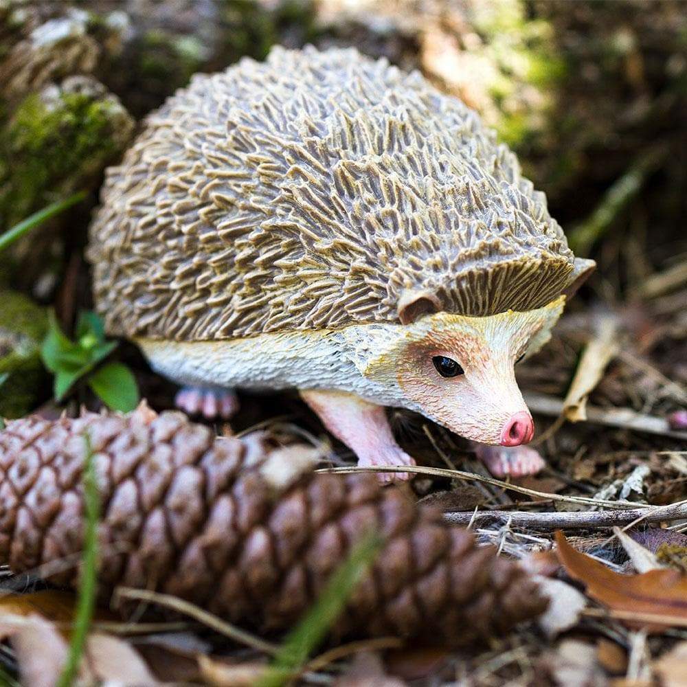 Hedgehog Toy