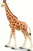 Reticulated Giraffe Toy