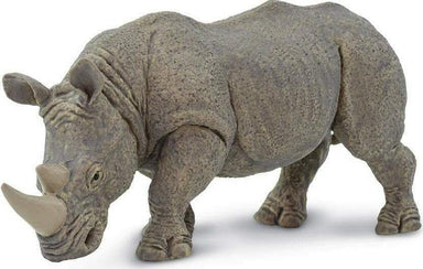 White Rhino