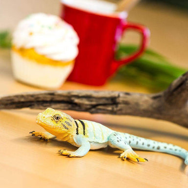 Collared Lizard Toy