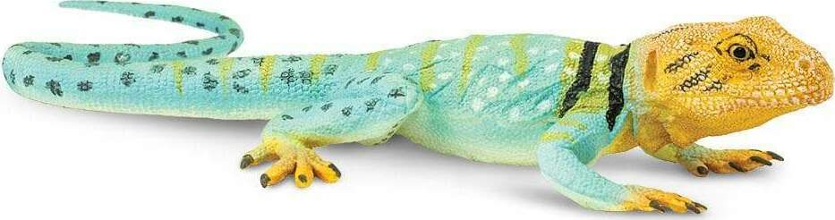 Collared Lizard Toy