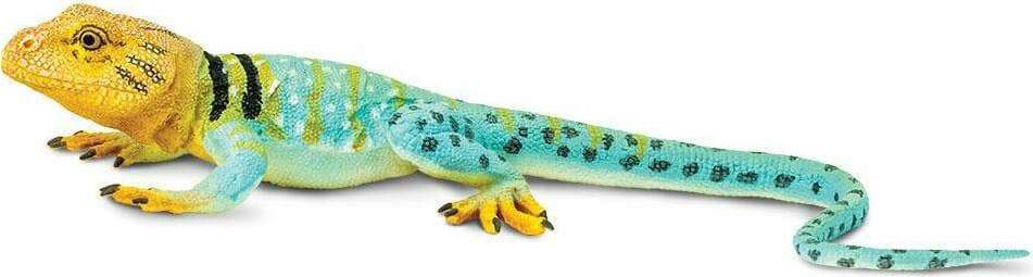 Collared Lizard Toy