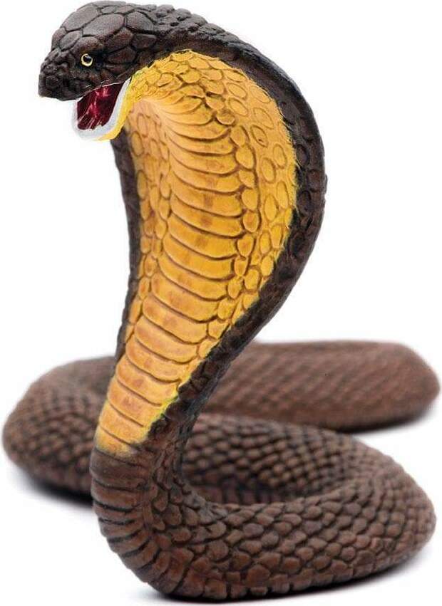 Cobra Toy