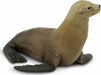 Sea Lion