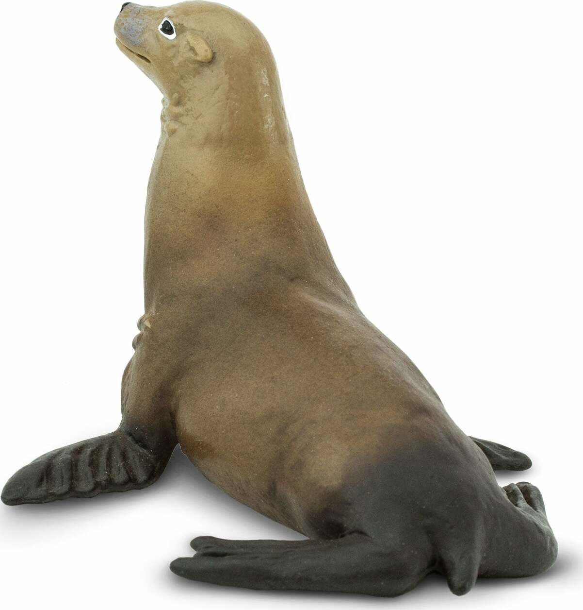 Sea Lion