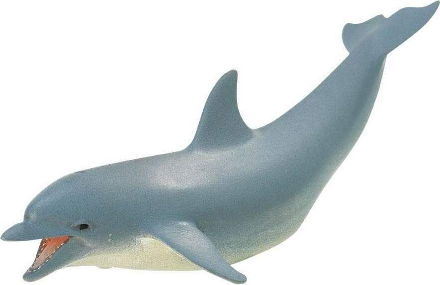 Dolphin Toy