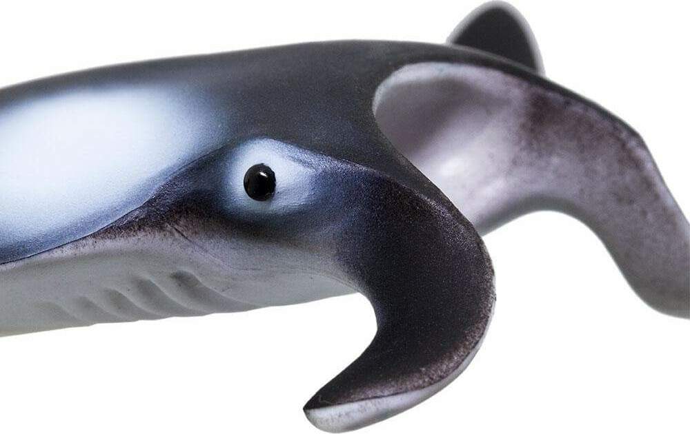 Manta Ray Toy