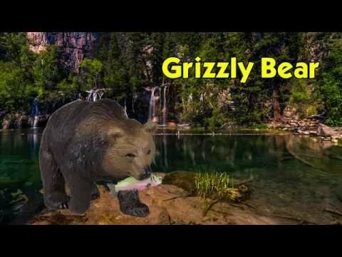 Grizzly Bear Toy