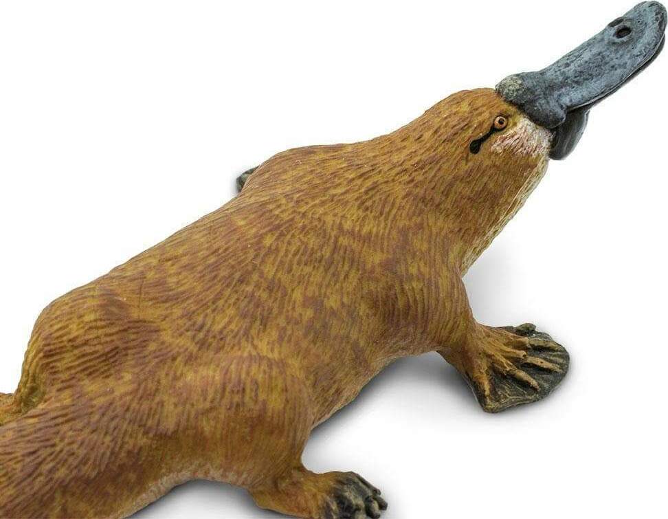 Platypus Toy