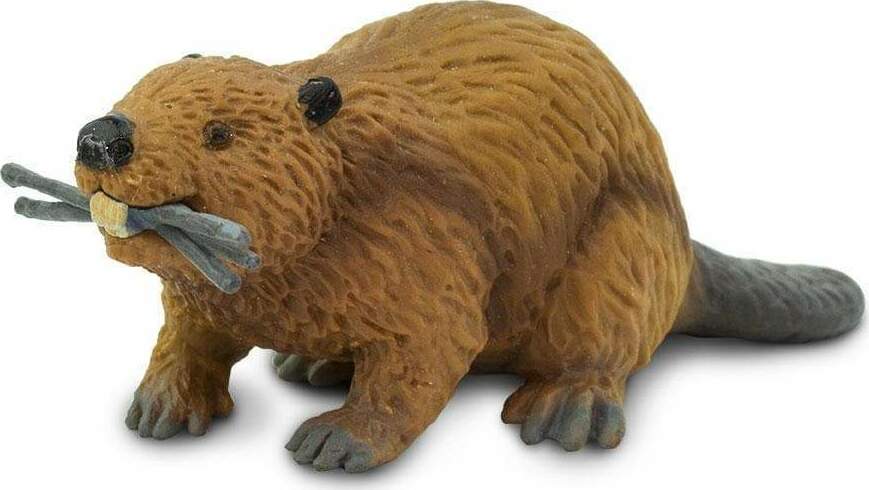 Beaver Toy