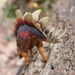 Stegosaurus Toy