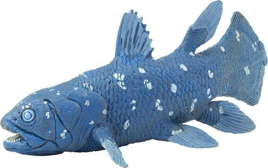 Coelacanth