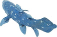 Coelacanth