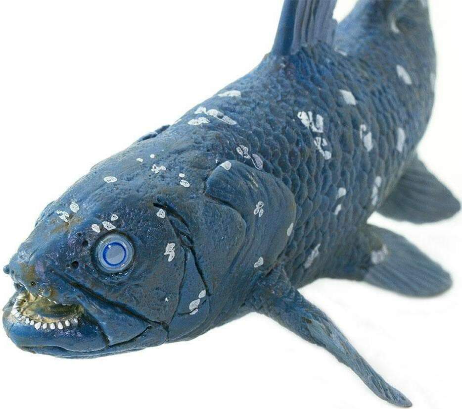 Coelacanth