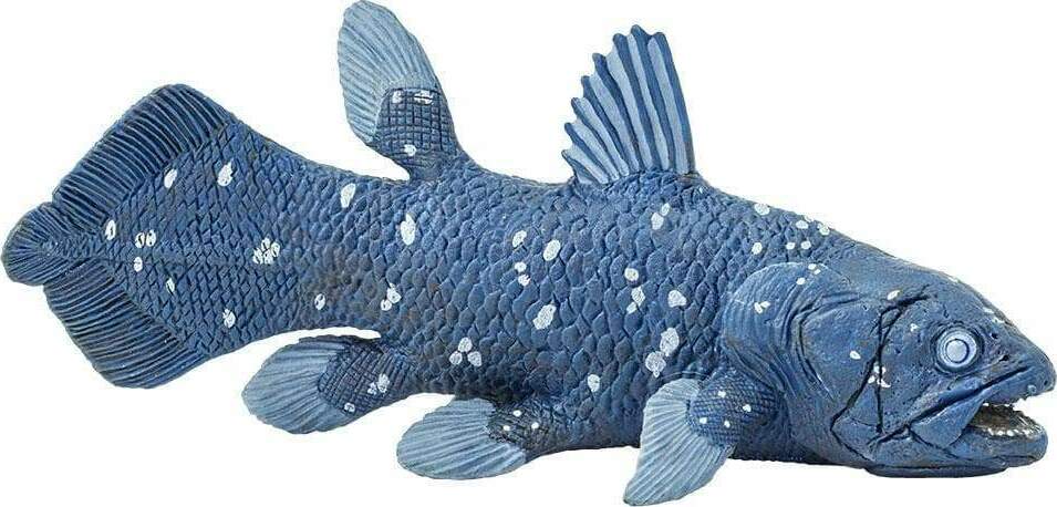 Coelacanth