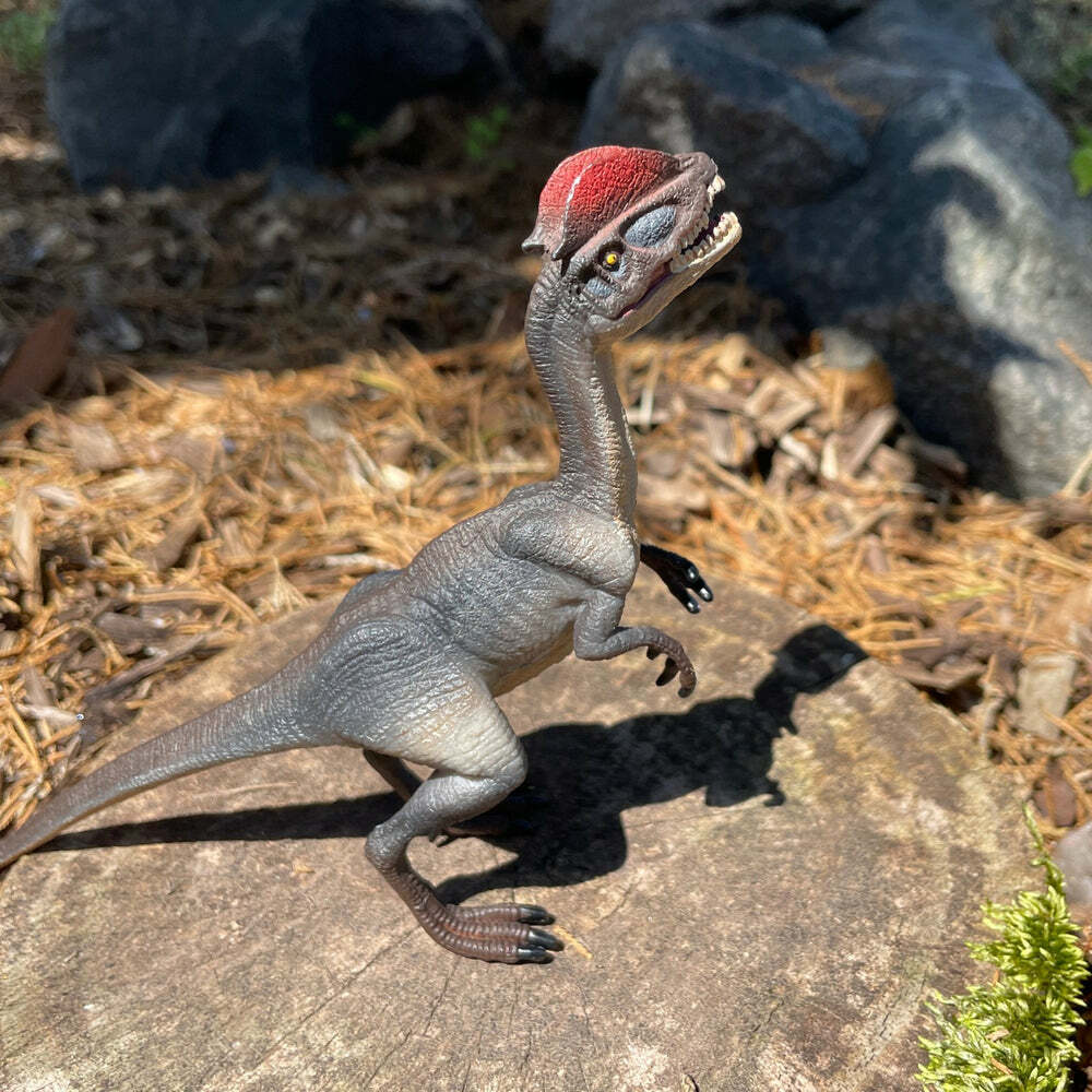 Dilophosaurus Toy