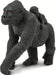 Lowland Gorilla with Baby Toy