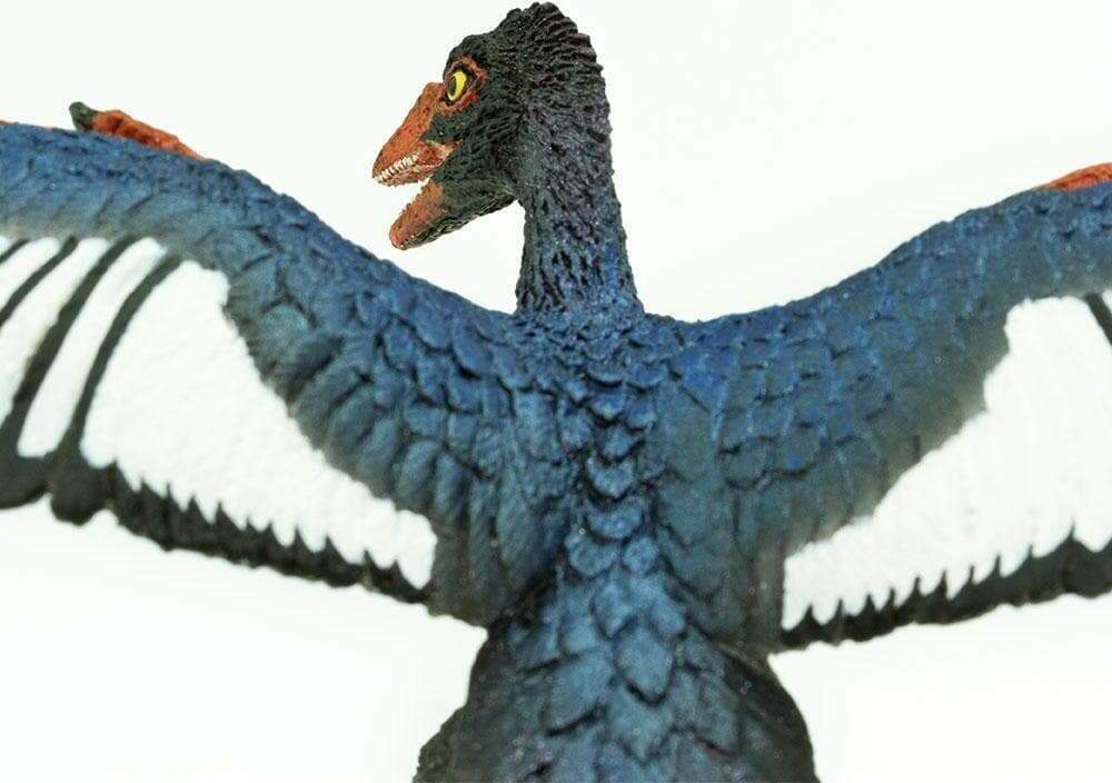 Archaeopteryx Toy