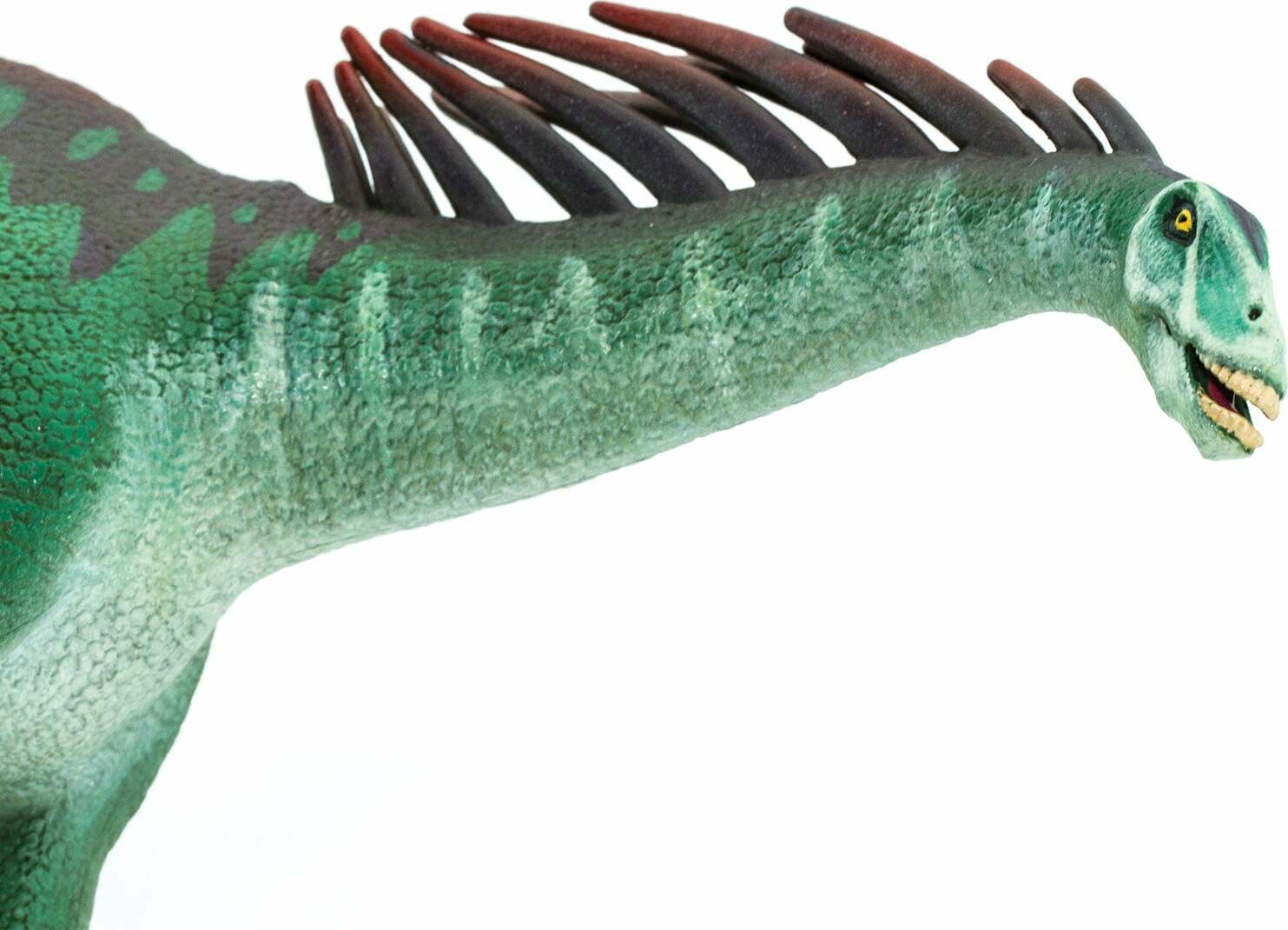 Amargasaurus Toy