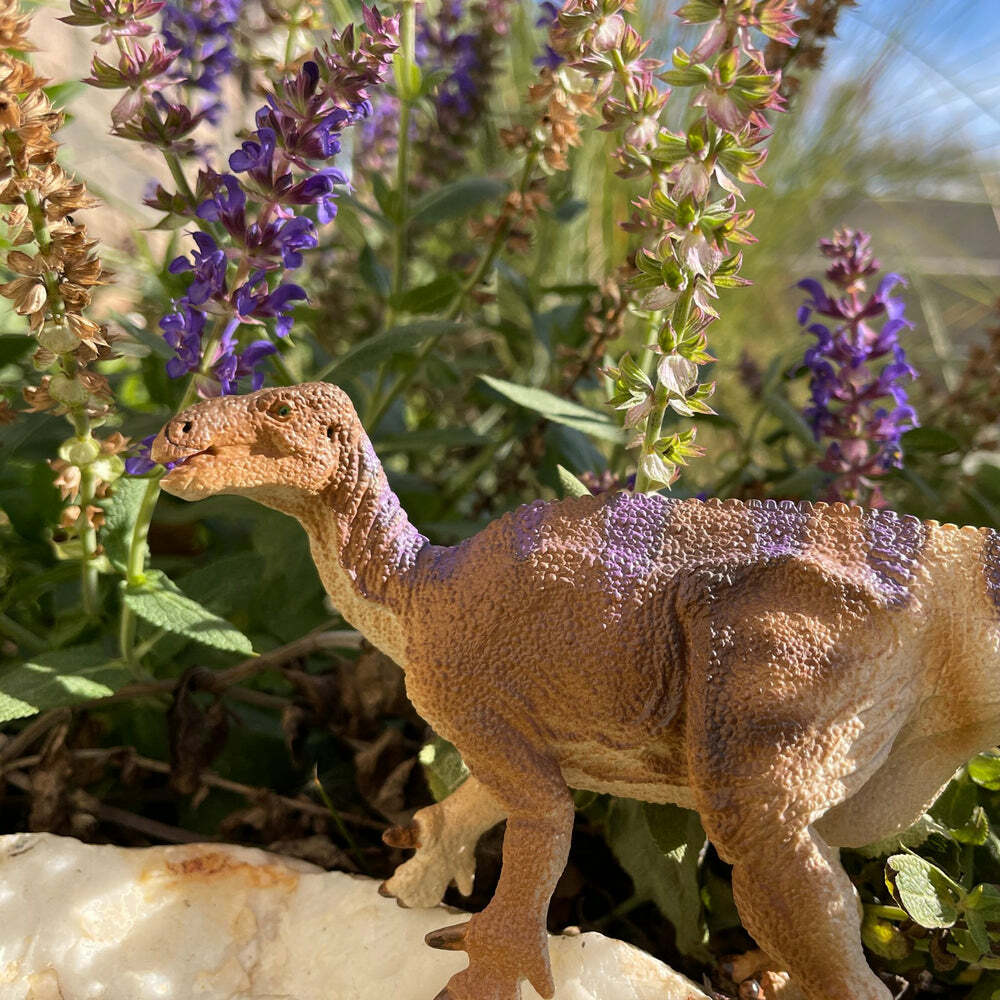 Iguanodon Toy