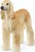 Afghan Hound