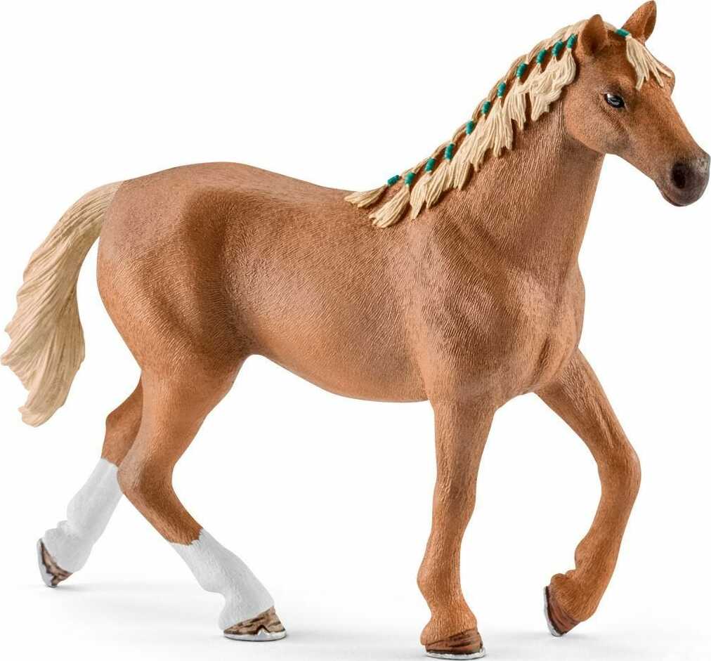 English Thoroughbred with Blanket