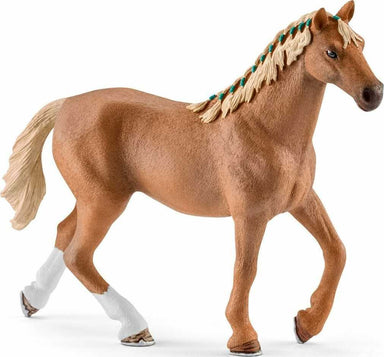 English Thoroughbred with Blanket