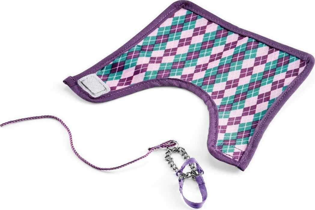 English Thoroughbred with Blanket