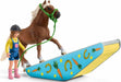 Pony Agility Training