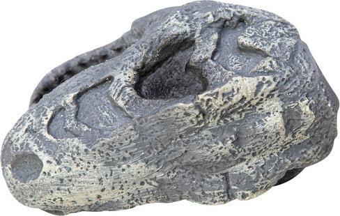 Dino Skull Hand Puppet (assorted)