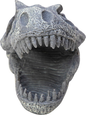 Dino Skull Hand Puppet (assorted)