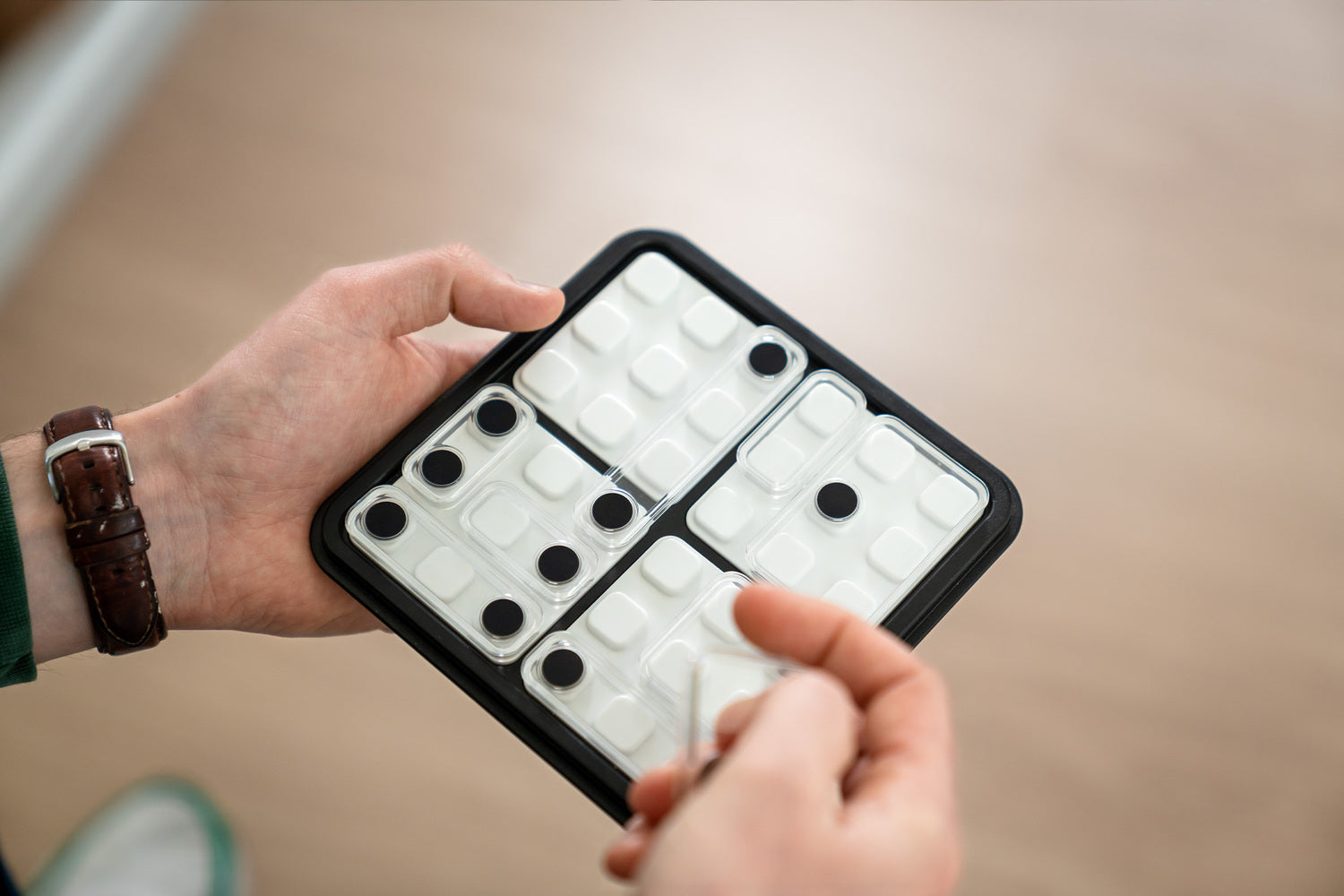 Dice Deduction – Logic Puzzle Game