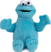 Sesame Street Beanbag (assorted)