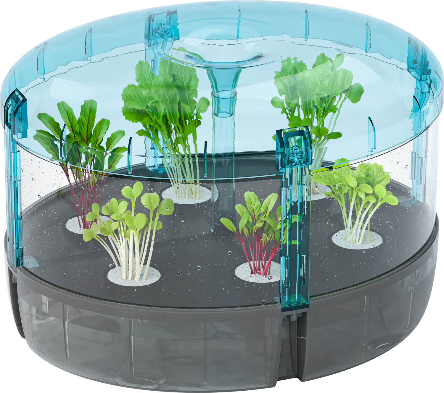 Hydroponics Lab