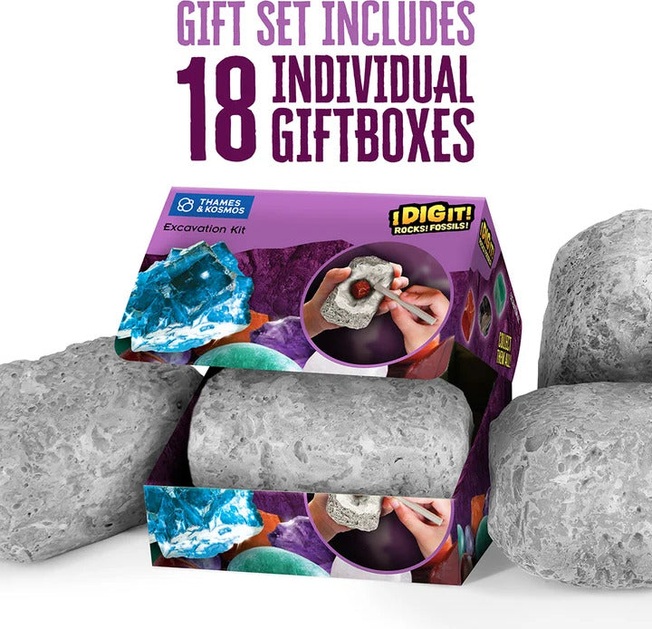 I Dig It! Rocks & Fossils - Mini Excavation (Giftbox)