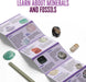 I Dig It! Rocks & Fossils - Mini Excavation (Giftbox)