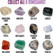 I Dig It! Rocks & Fossils - Mini Excavation (Giftbox)
