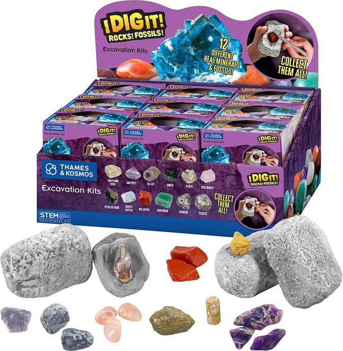 I Dig It! Rocks & Fossils - Mini Excavation (Giftbox)