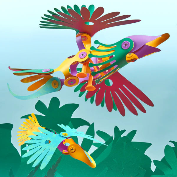 Jungle Birds Clixo Pack