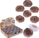 2.7" Dinosaur Fossil Play Clay Slime 24ct