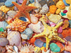 Beach Shells - 500 Piece - White Mountain Puzzles