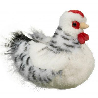 Salty Black and White Hen