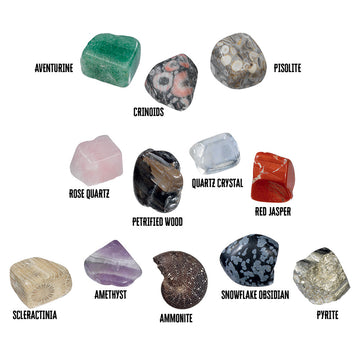 I Dig It: Rocks and Fossils