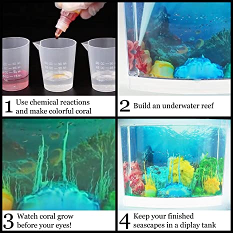 Create an Underwater Coral Reef