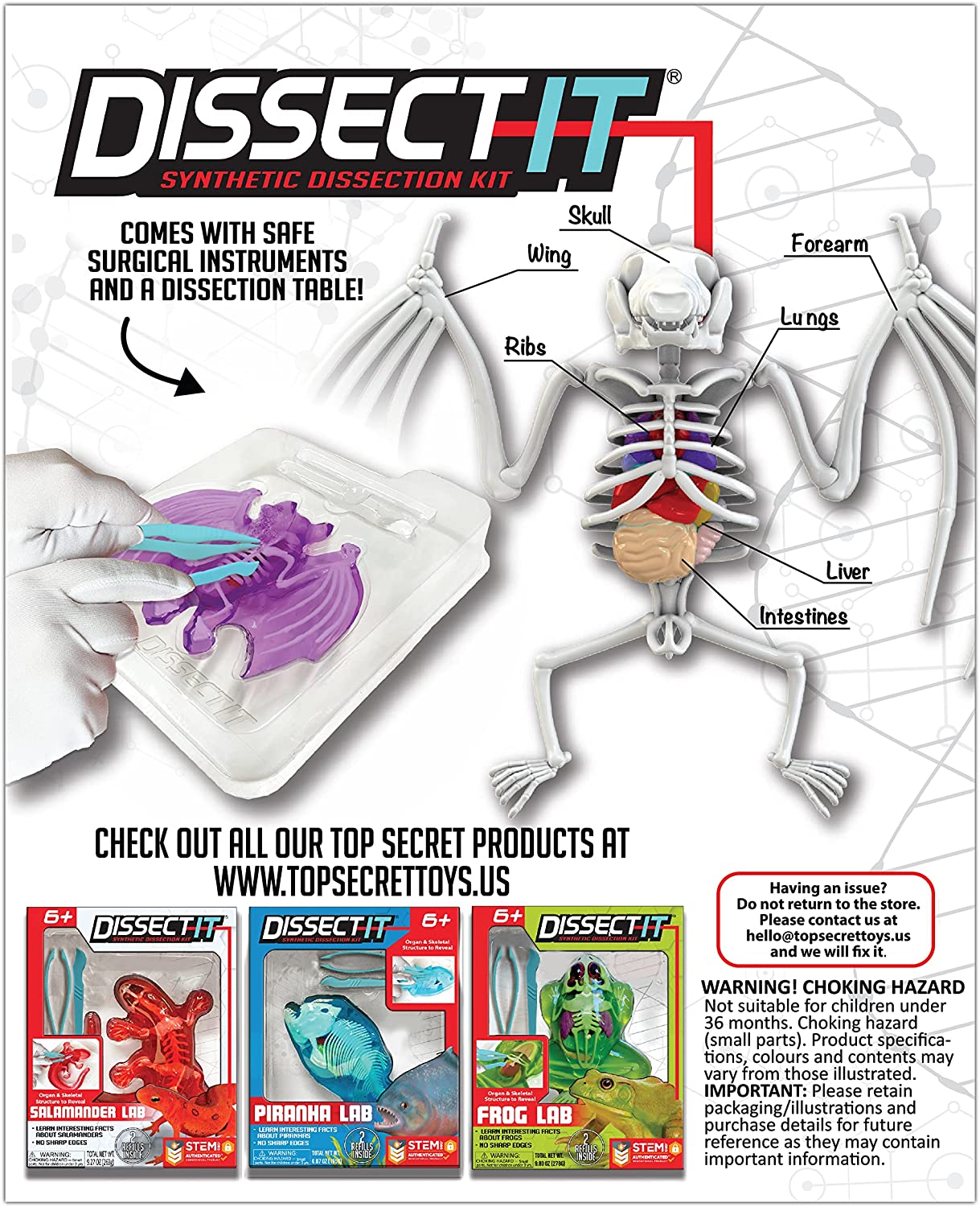 Dissect-It Synthetic Bat Lab