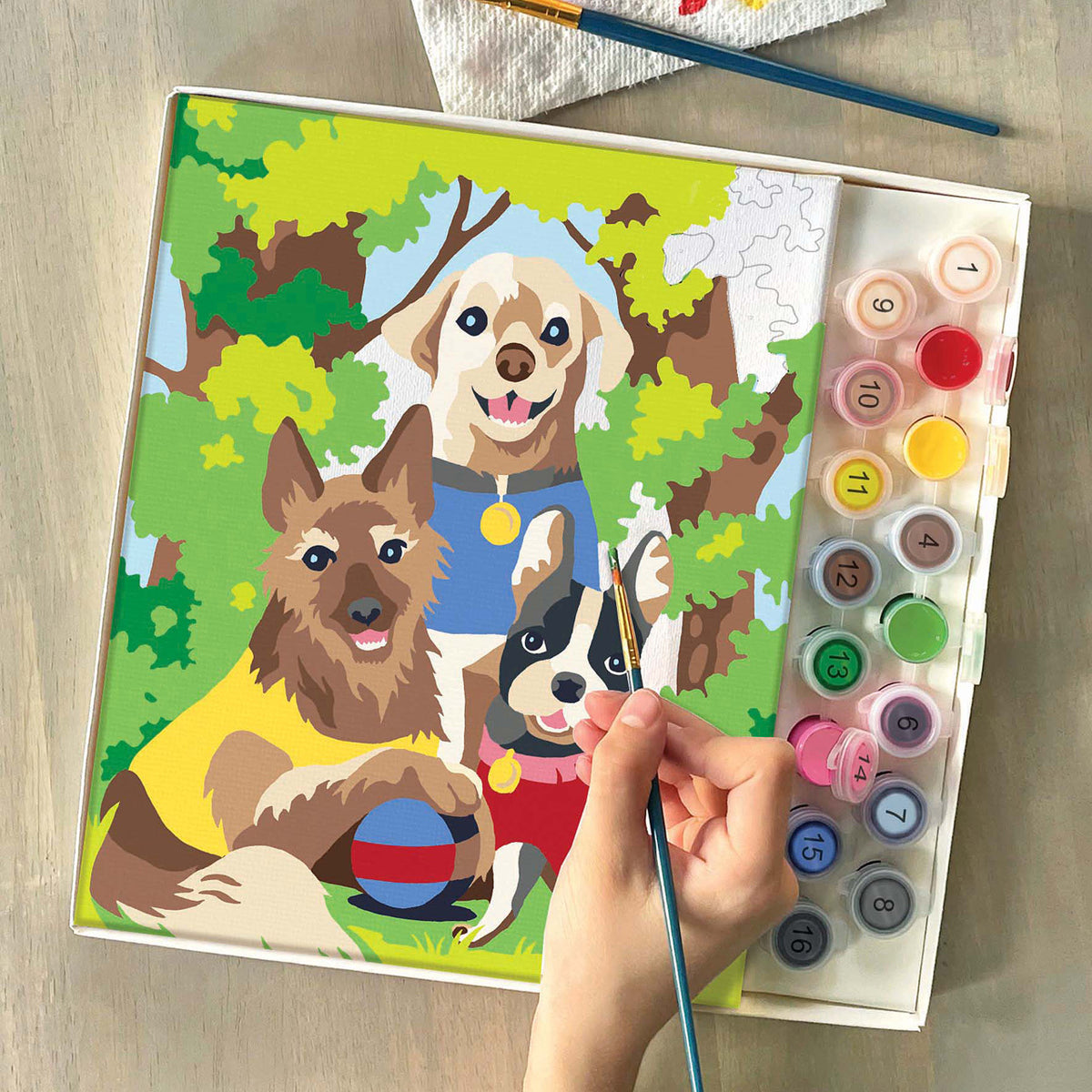 Ravensburger CreArt Hanging Out Paint by Numbers for Children Age 9 Years  Up - Painting Arts and Crafts Kits for Kids : Toys & Games 