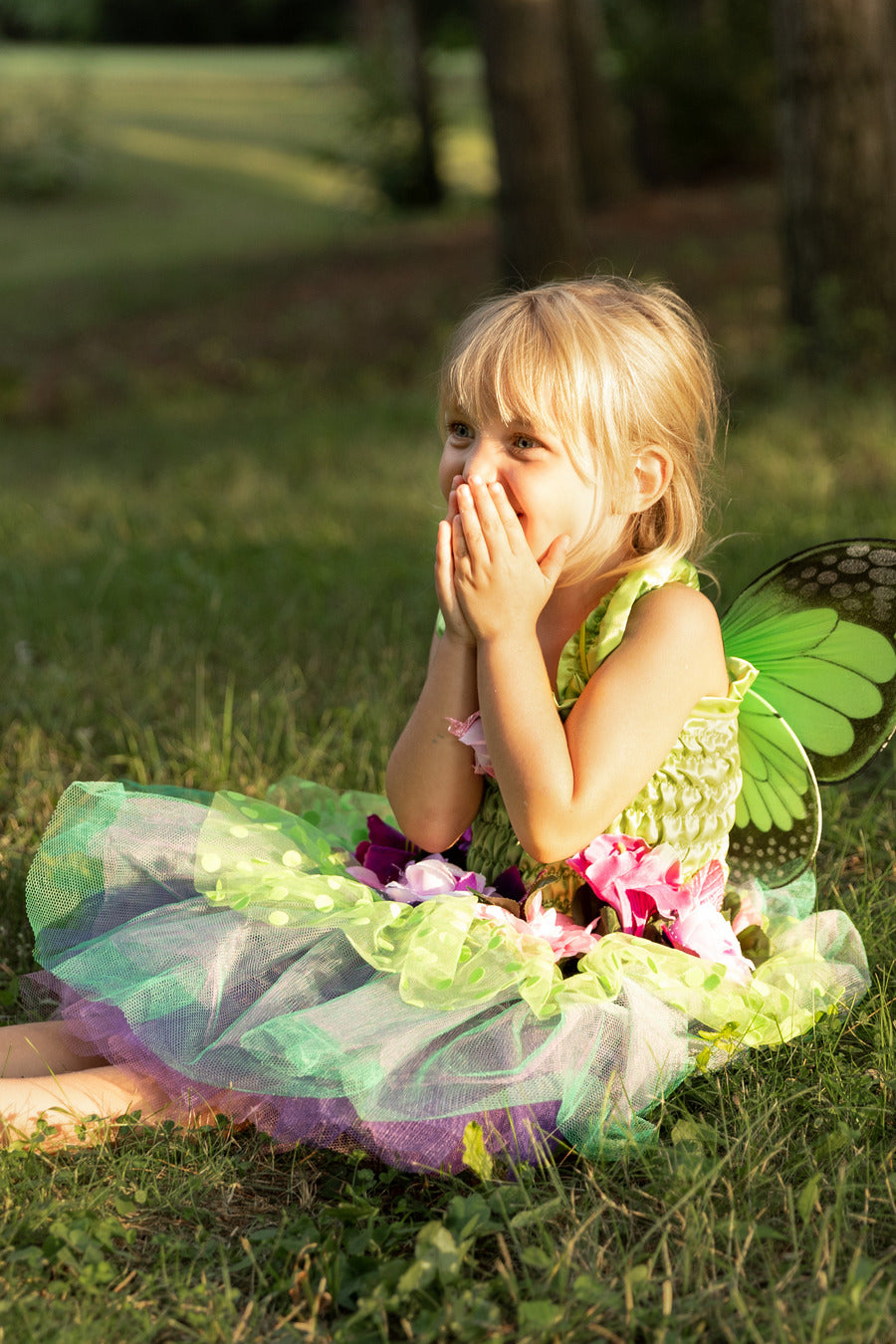 Fairy Blooms Deluxe Dress Green (Size 5-6)